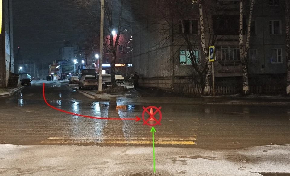 Фото: Госавтоинспекция Коми