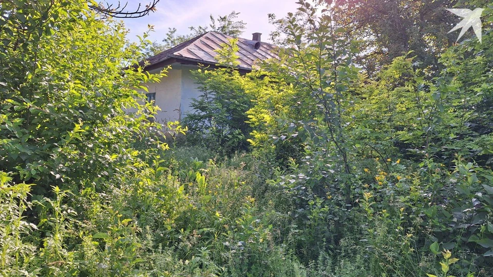 Закроется школа, умрет село. Фото: КП