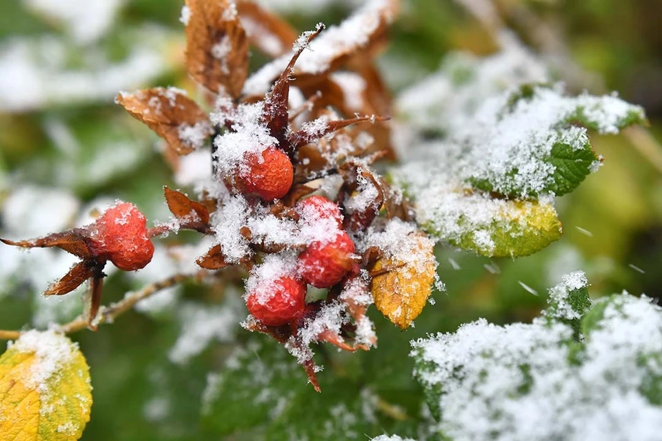 Подует мощный ветер до 18 метров в секунду.