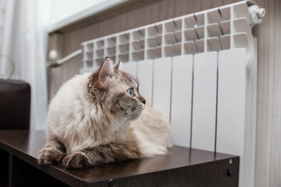 В Краснодаре три улицы остались без тепла и горячей воды из-за аварии Фото из архива КП