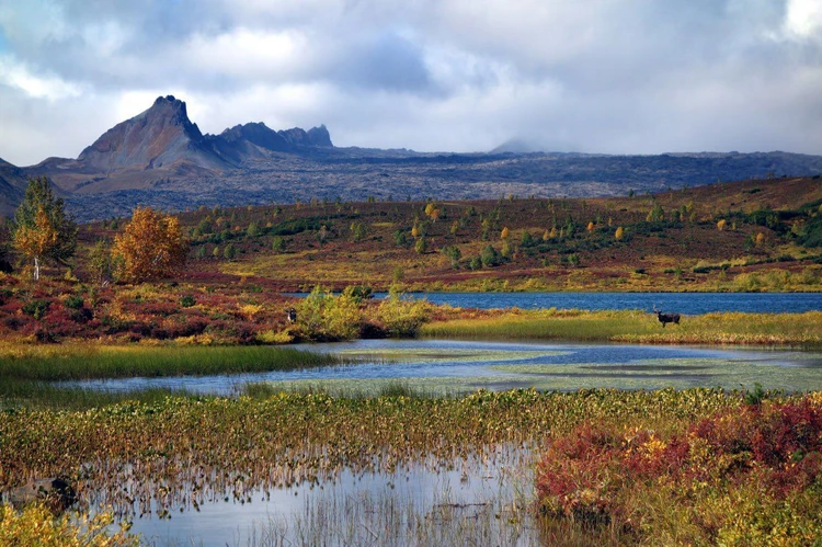 Озеро эволюции и рыбы-каннибалы: исследование древнего водоема шокировало ученых Камчатки