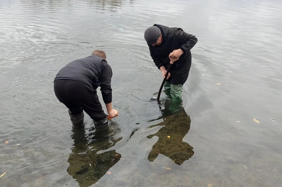 О ДОТе поисковикам сообщили местные рыбаки. Фото: поисковый отряд «Память»