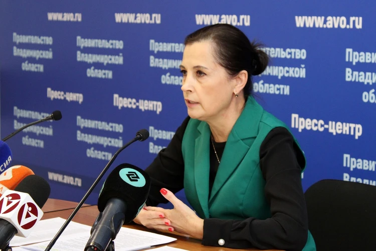 Министерство соцзащиты населения Владимирской области предоставляет 5 мер социальной поддержки в рамках нацпроекта «Семья»