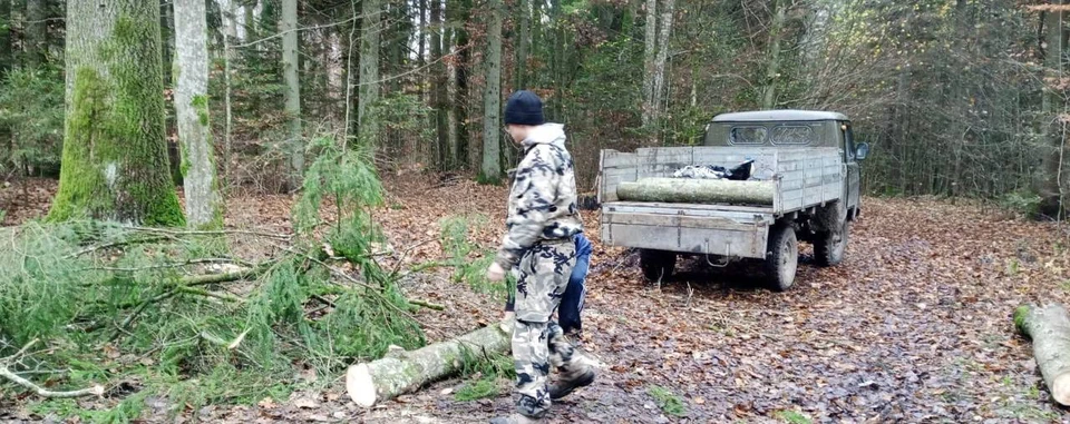 Фото: минприроды региона.