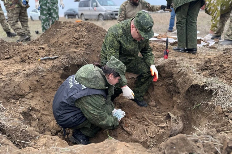 «Подобные преступления не имеют сроков давности»: останки бойцов Красной армии нашли на Ставрополье