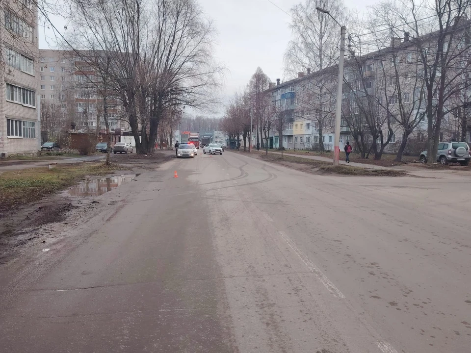 Фото: УМВД России по Владимирской области