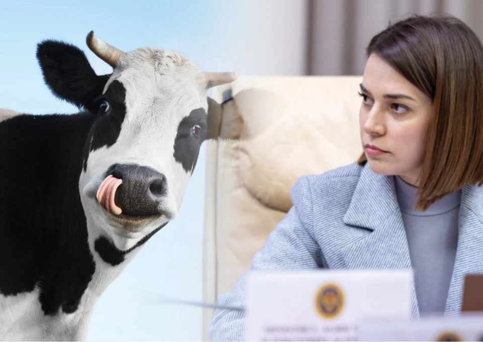 Для министра Катлабуги животноводство является прибыльным делом. Фото: коллаж КП