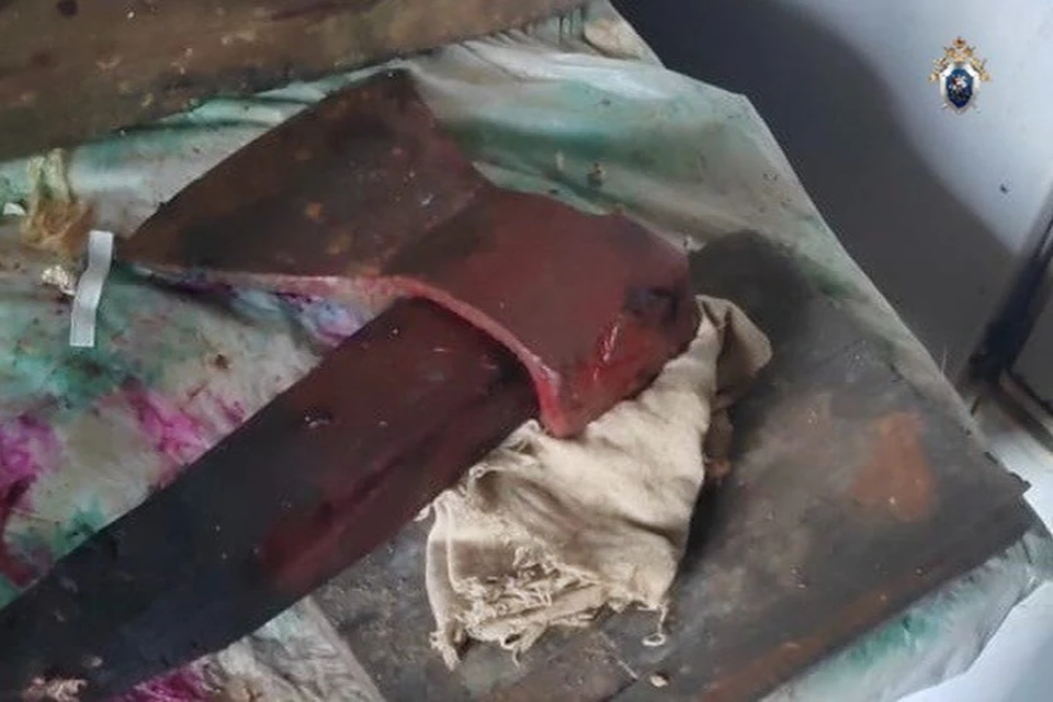 Дело о покушении на жизнь матери и убийстве ее сожителя передано в суд