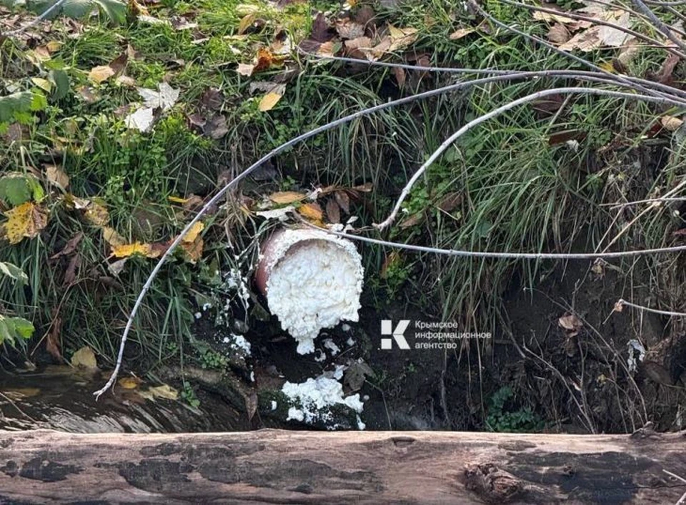 Чтобы прекратить сброс сточных вод через трубу, ее затампонировали. Фото: Минприроды Крыма