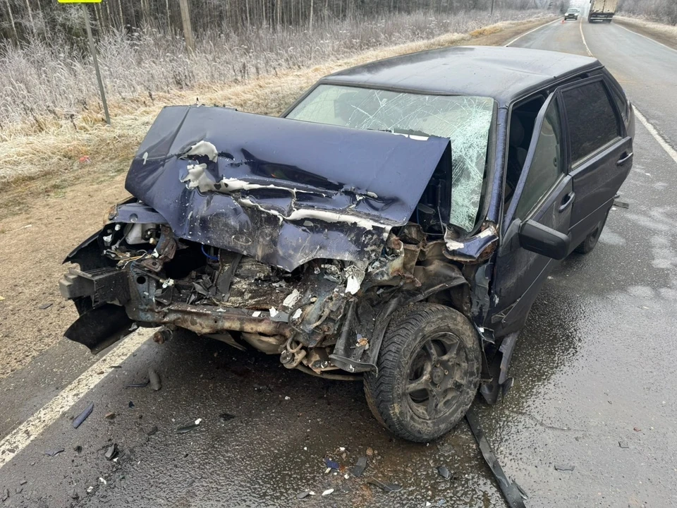 Фото: пресс-служба Госавтоинспекции УМВД России по Костромской области