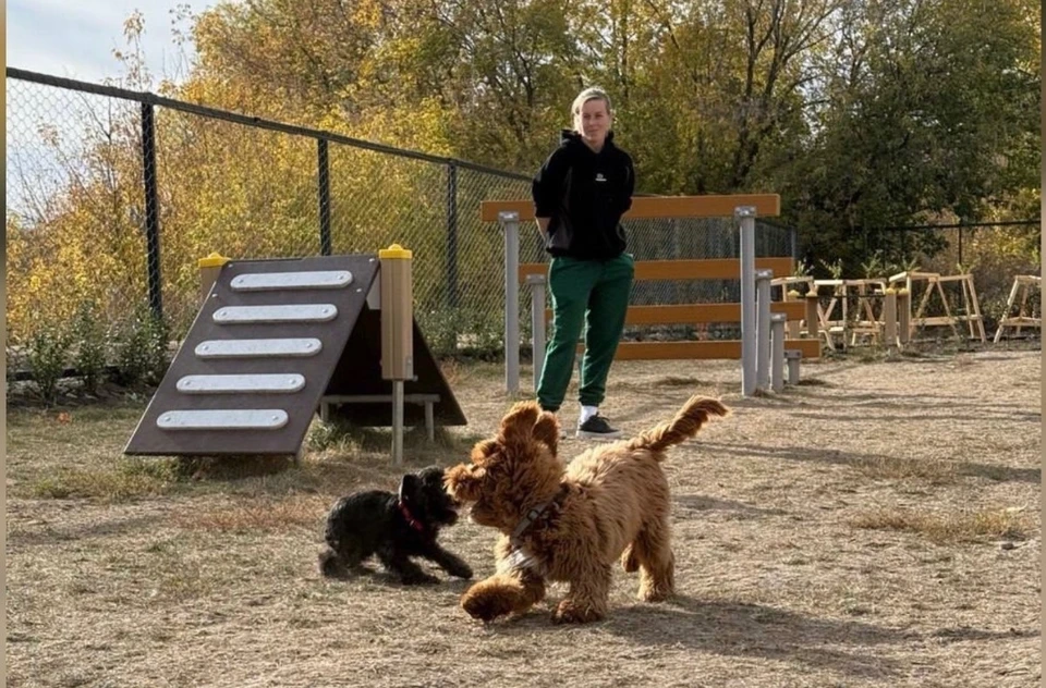 В Самаре появятся 10 кинологических парков фото: Артем Киселев