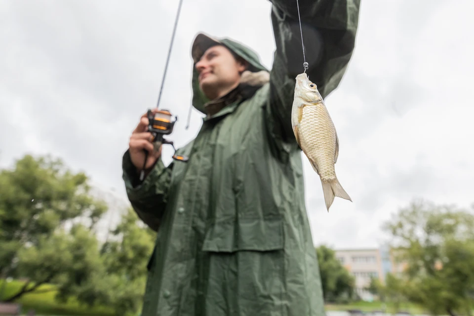 Ограничение будет действовать до 31 марта