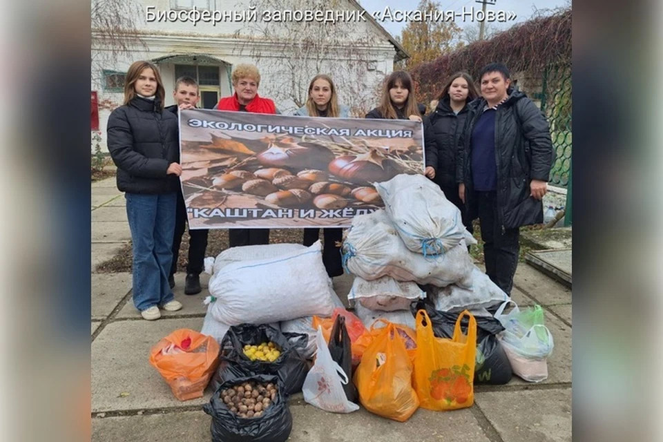 Более 1,6 тонны каштанов собрали дети для животных заповедника. Фото: минприроды Херсонской области