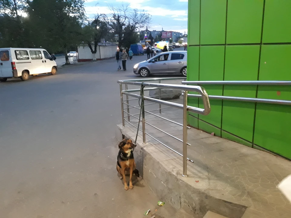 Фото: Надежда ПЕТРУНИНА.