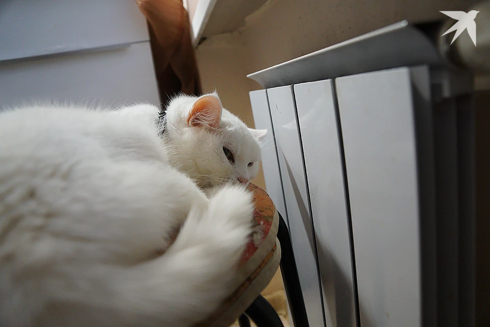 Переход на резервные схемы позволит стабилизировать ситуацию и сохранить подачу тепла в дома, пока непогода продолжает испытывать на прочность сети региона.