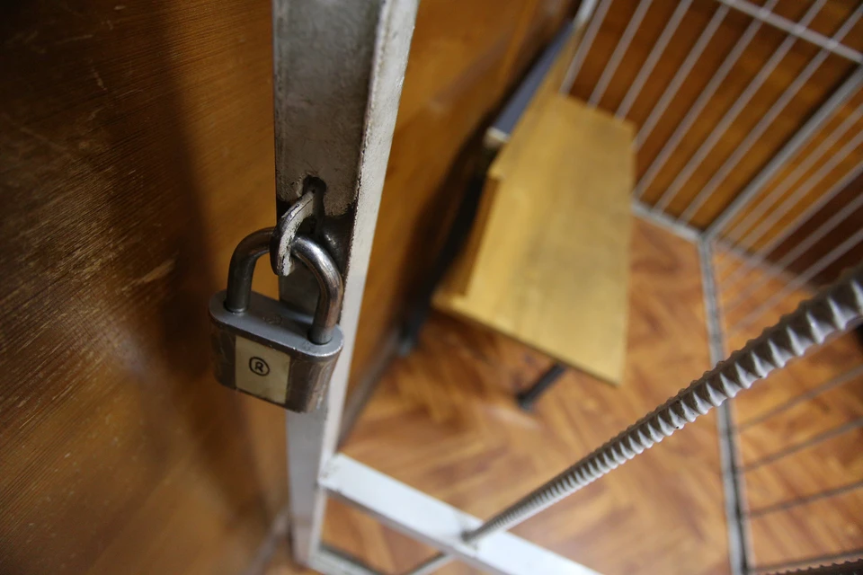 Обвиняемому грозит лишение свободы на срок до шести лет.