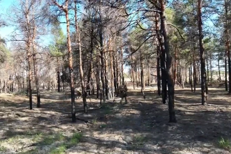 Учат держать небо под прицелом: Штурмовые подразделения совершенствуют свои навыки взятия опорных пунктов в тыловом районе СВО