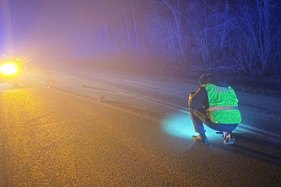 В Полевском районе произошло смертельное ДТП. Фото: Госавтоинспекция Свердловской области