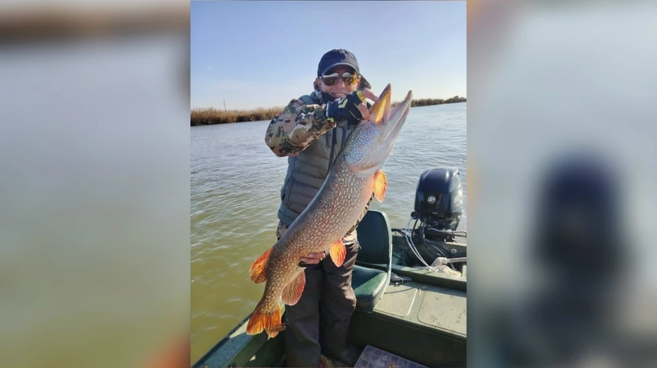 Фото: сообщество в ВКонтакте «Астраханская рыбалка и охота»