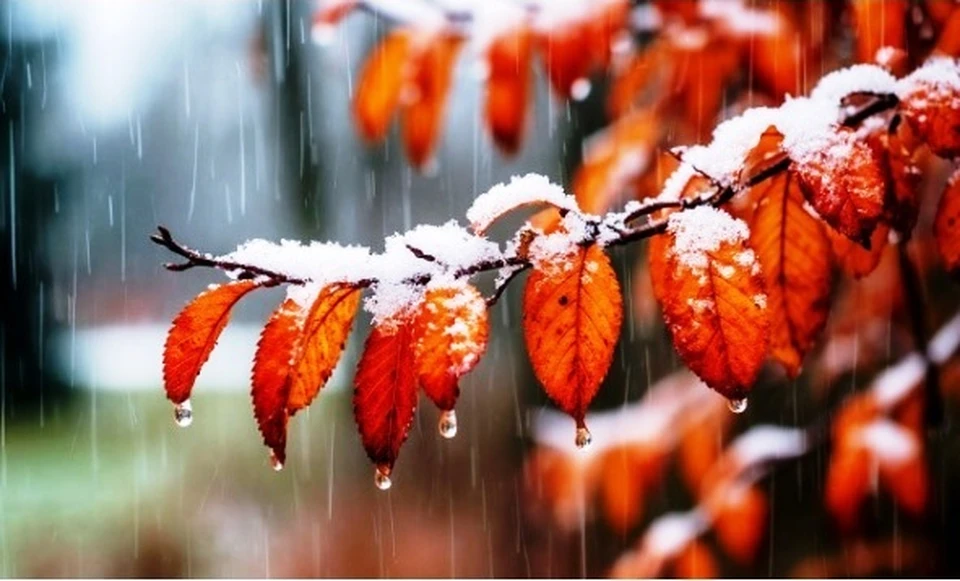 Синоптики прогнозируют осадки в виде снега, мокрого снега и дождя, которые продлятся весь день.