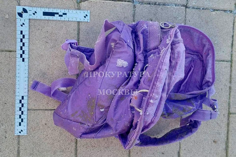 Голову нашли в Москве, а тело - в Балашихе: стали известны жуткие подробности убийства ребенка, останки которого обнаружили в пруду