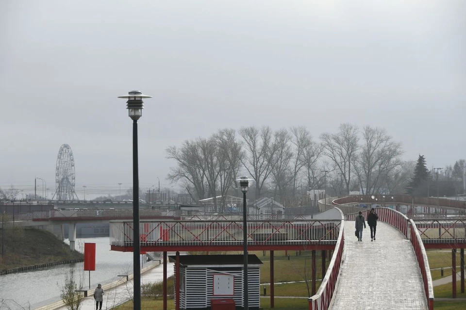 Погода на неделе в Тульской области: от дождя к снегу за пару дней.
