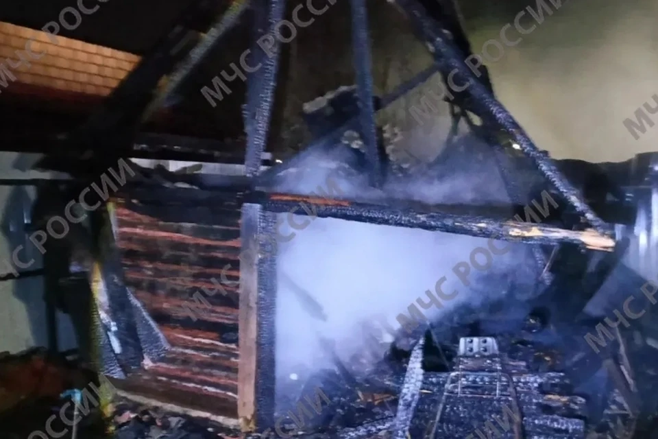 Фото: пресс-служба ГУ МЧС России по Брянской области.