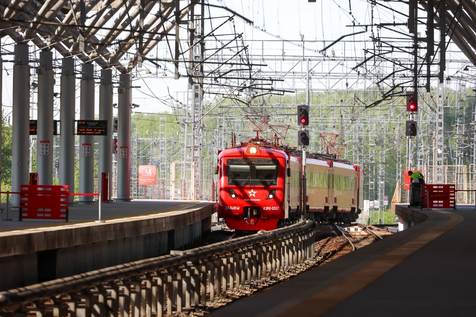 Минтранс: посадку в поезд по биометрии введут в пилотном режиме в 2026 году