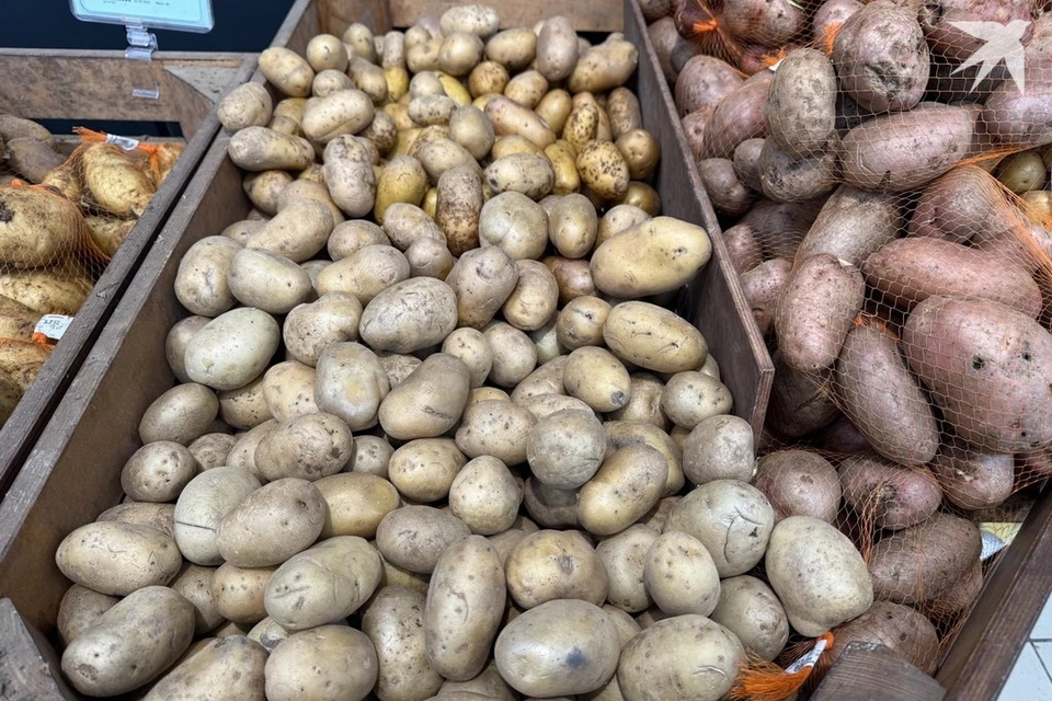 МАРТ и Минсельхозпрод раскрыли, кто виноват в нехватке картошки весной 2025 в Беларуси. Снимок носит иллюстративный характер. Фото: архив «КП»