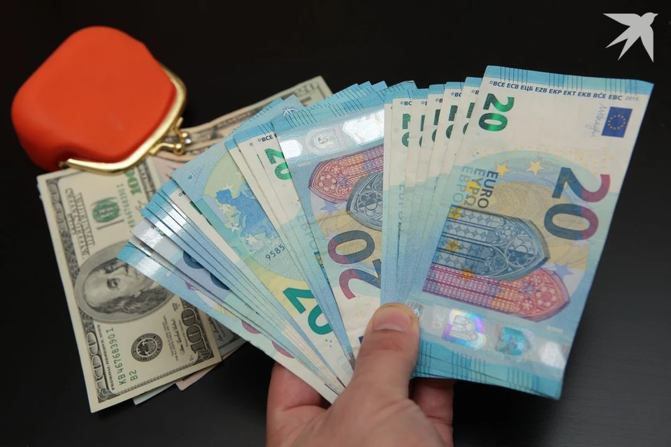 У водителя Audi сорвался план по провозу более €133 тысяч через границу. Фото используется в качестве иллюстрации: архив «КП».