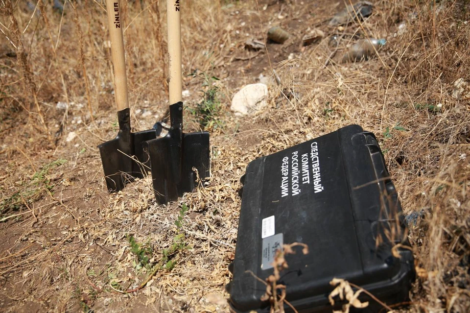 Останки были обнаружены в апреле 2025 года. Фото: СК Крыма и Севастополя/Tg