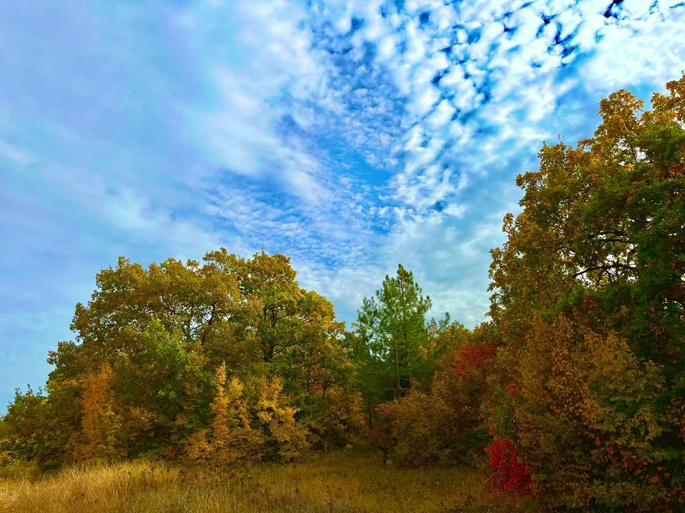 Осень снова отступила