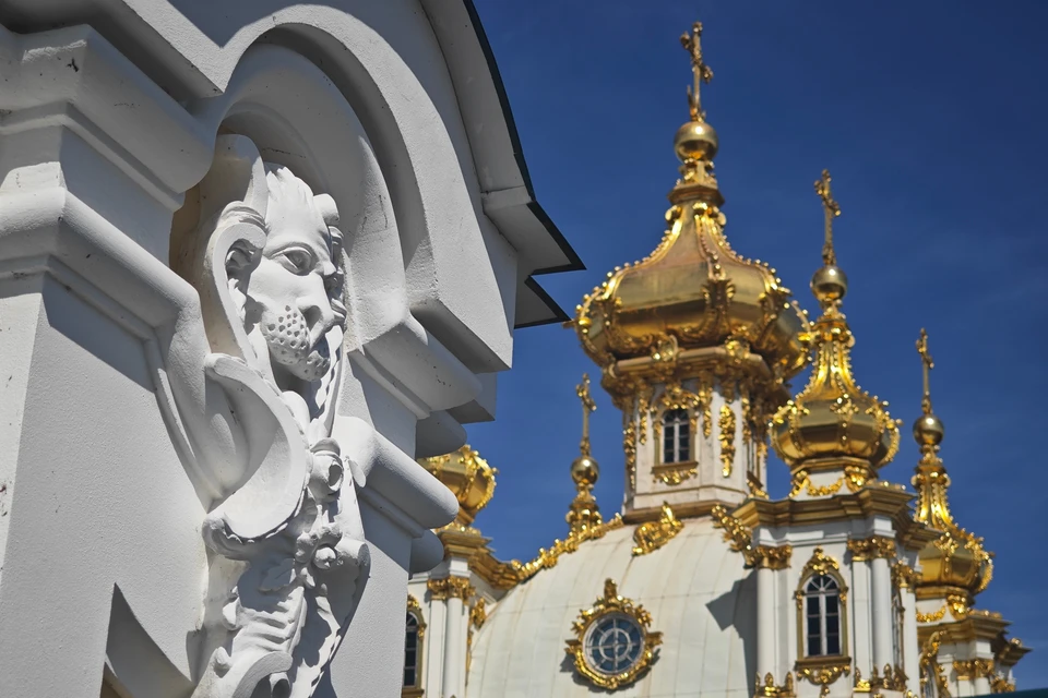 Поддержали инициативу 40 депутатов.