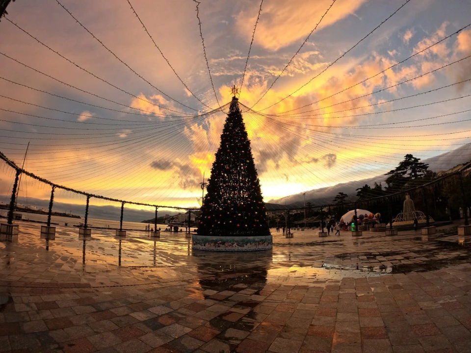 Фото: пресс-служба администрации Ялты