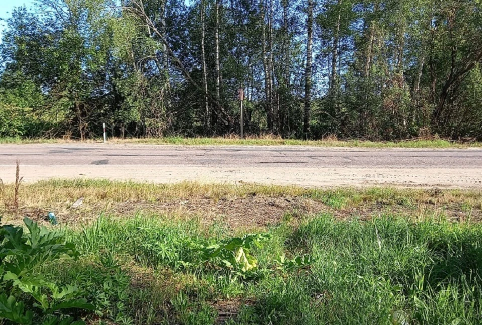 Нелегкая дорога к знаниям. Фото: Екатерина ИЛЬИНА