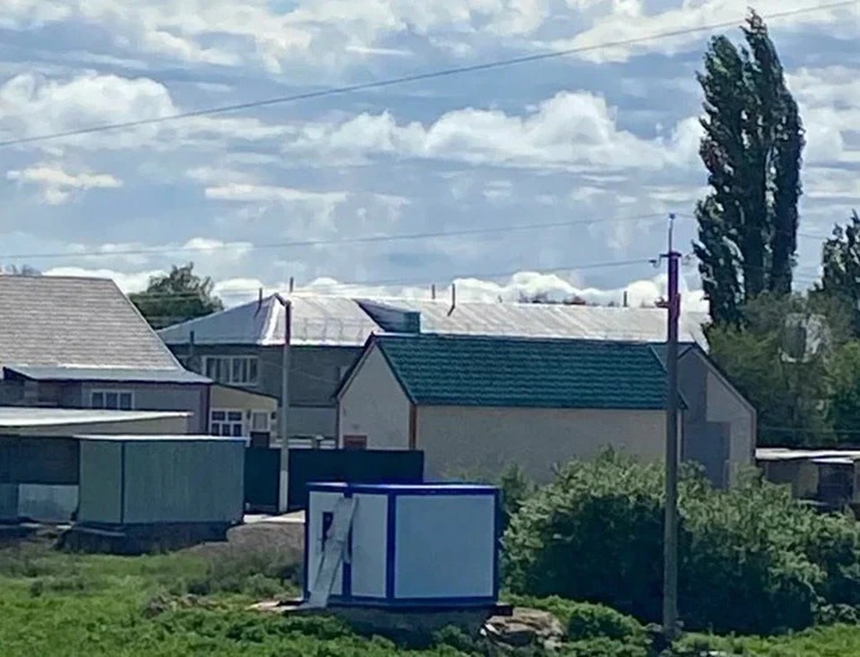 Фото: Минсельхоз Саратовской области