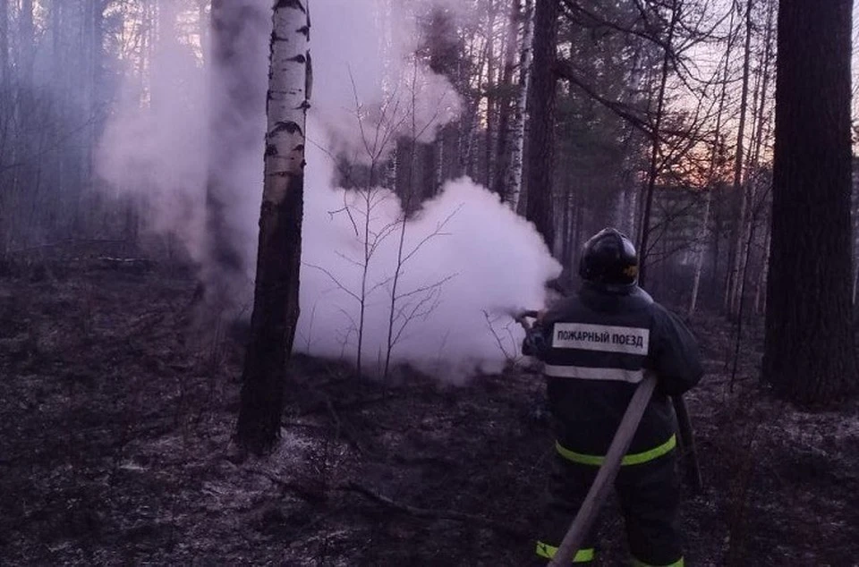Возгорание произошло в двух вагонах-цистернах грузового поезда. Фото: пресс-служба СвЖД