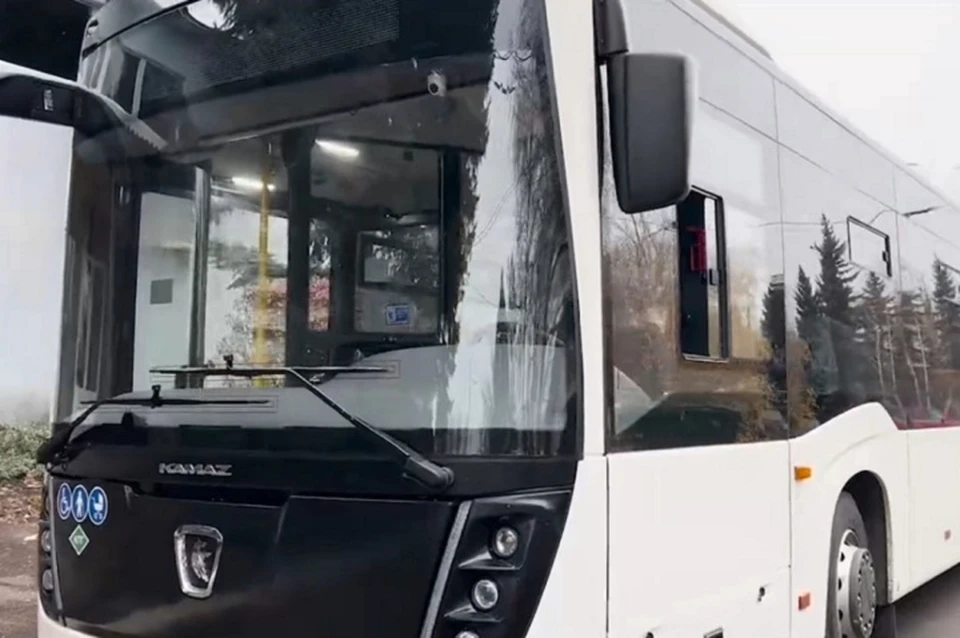 В ДНР прибудет еще одна партия новых автобусов. Фото: ТГ/Пушилин