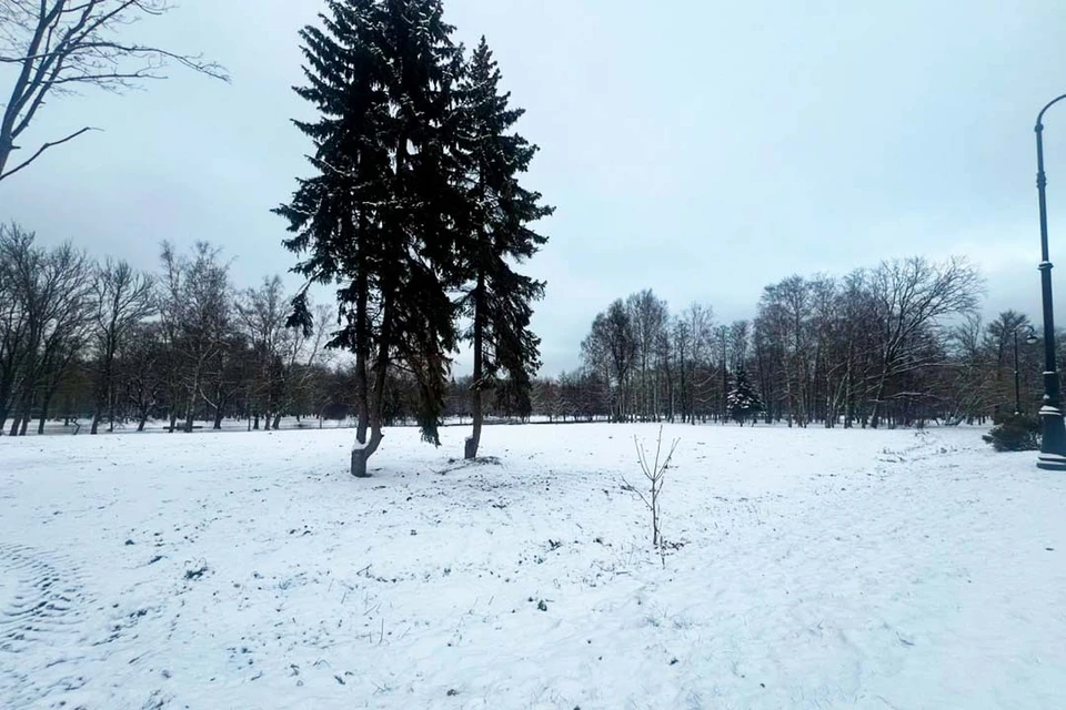 Сейчас участок полностью привели в порядок. Фото: Сергей Петриченко/Tg