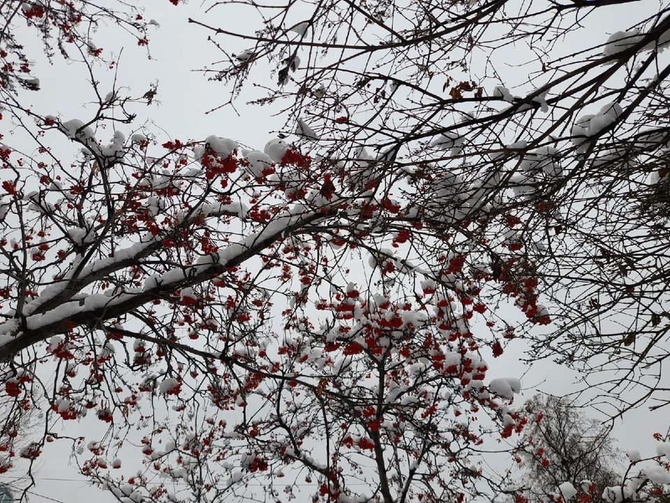 Погода на Ямале на 21 ноября