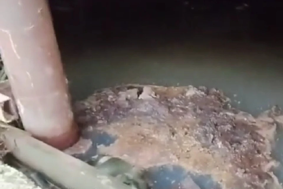 Из-за сильного запаха жильцы по всей улице не могут даже отрыть окна или погулять с детьми. Фото: Народный фронт Кировской области