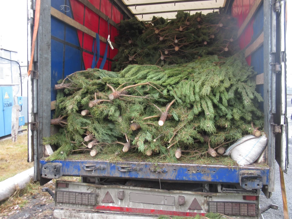 Фото: пресс-служба Тюменской таможни.