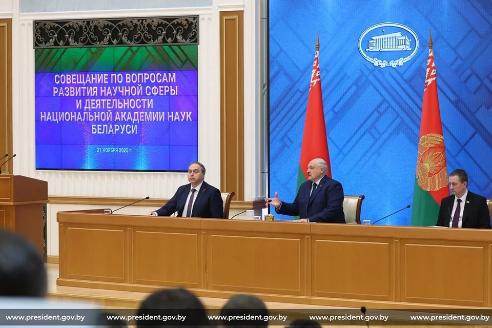 Лукашенко поручил до 1 января внести ему согласованные предложения по совершенствованию определенной сферы. Фото: president.gov.by.