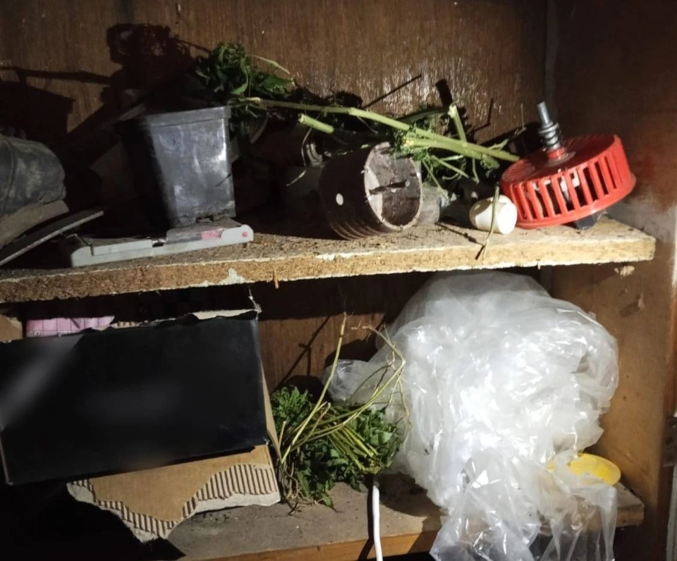 Оперативники изъяли у фигуранта 136 граммов наркотика. Фото УМВД России по Липецкой области.