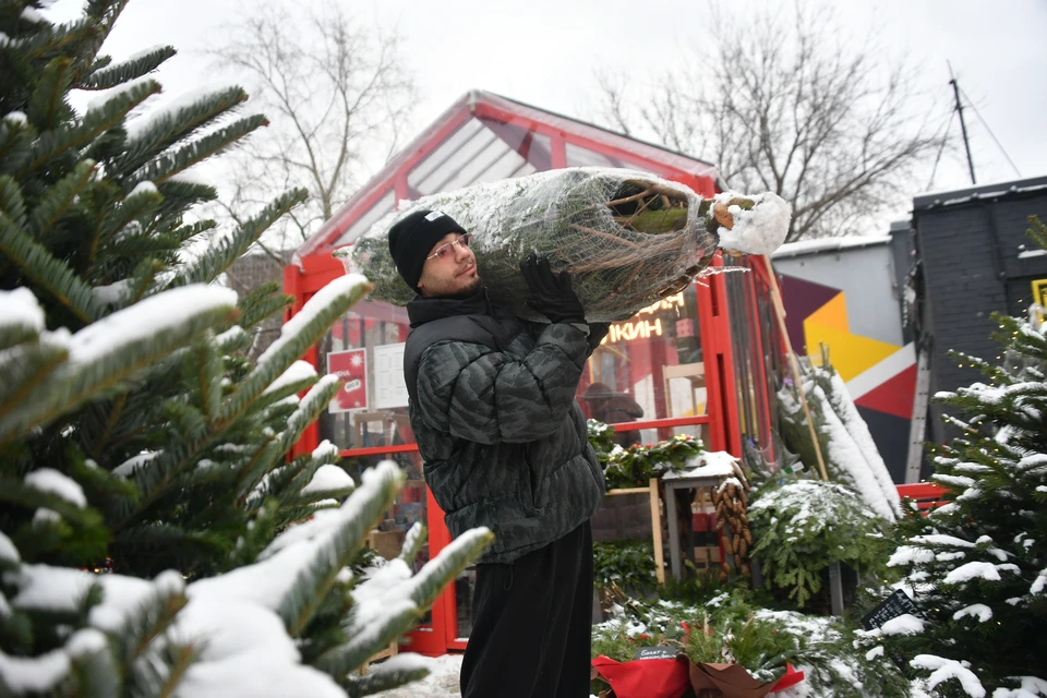 Площадки для елочных базаров определены в Нижнем Новгороде