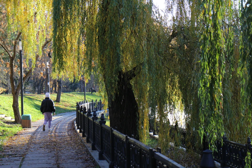 Набережная Салгира в Симферополе