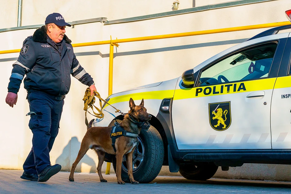 На границе между Молдавией и Румынией задержали фуру с оружием из Украины. Фото: Gagarin Iurii/Shutterstock/Fotodom