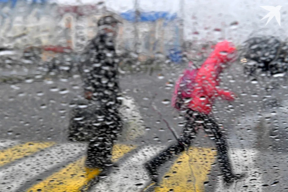 Климатолог сказал, что происходит с осадками в Беларуси. Снимок носит иллюстративный характер.