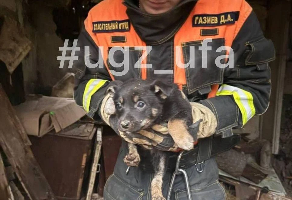 В службу спасения обратилась местная жительница. Фото: УГЗ Уфы.