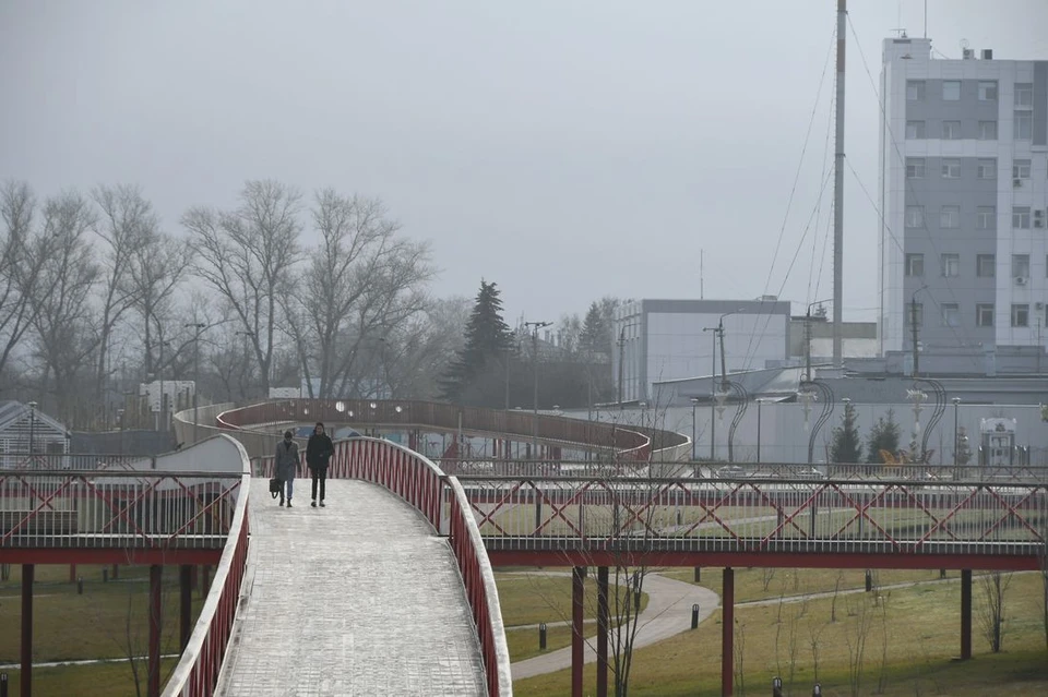 Ноябрь прощается с осенью: в Тульской области ожидаются дожди, ветер и первые устойчивые заморозки.